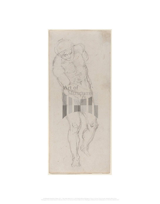 Male Nude (recto), Michelangelo Buonarroti