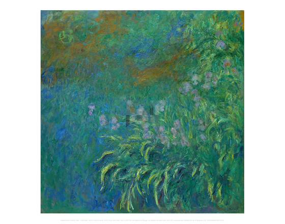 Irises, Claude Monet