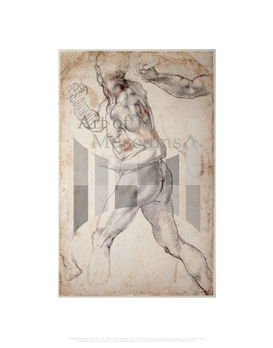 Study of a Striding Male Nude, Michelangelo Buonarroti