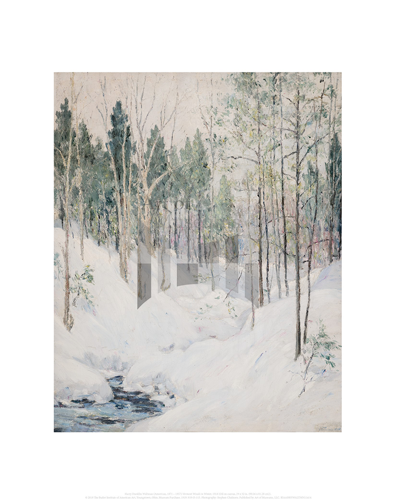 Vermont Woods in Winter, Harry Franklin Waltman
