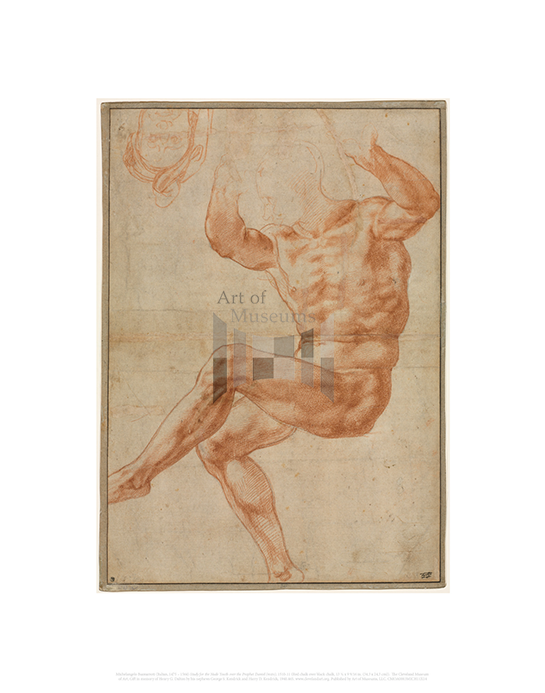 Study for the Nude Youth over the Prophet Daniel (recto), Michelangelo Buonarroti