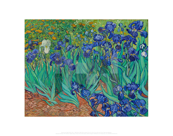 Irises, Vincent van Gogh 