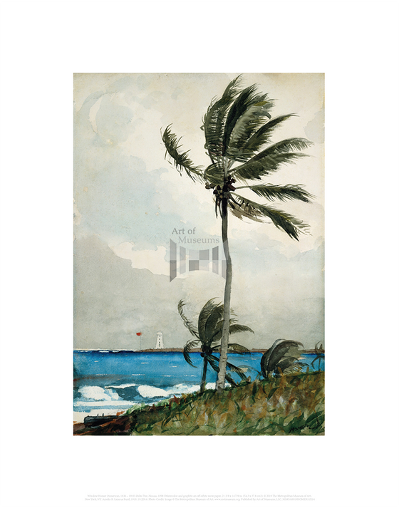Palm Tree, Nassau, Winslow Homer