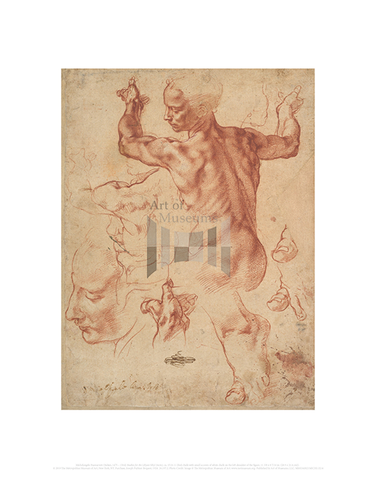 Studies for the Libyan Sibyl (recto), Michelangelo Buonarroti
