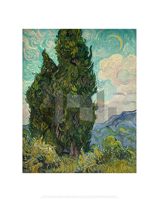 Cypresses, Vincent van Gogh 
