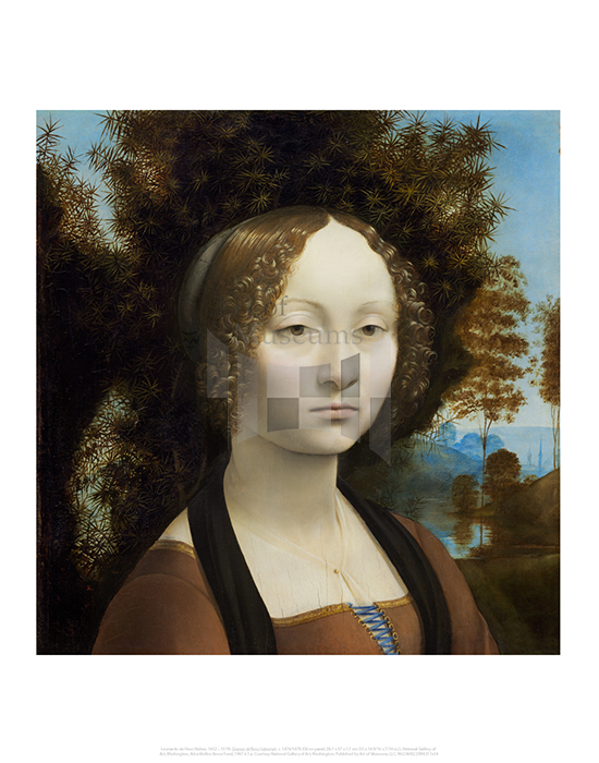 Ginevra de'Benci (obverse), Leonardo da Vinci 