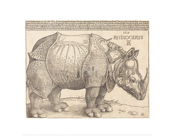 The Rhinoceros, Albrecht Durer